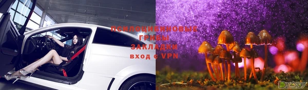 амф Алексеевка