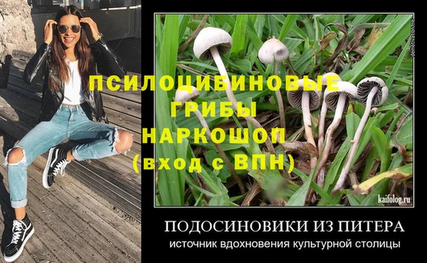 ПСИЛОЦИБИНОВЫЕ ГРИБЫ Алзамай