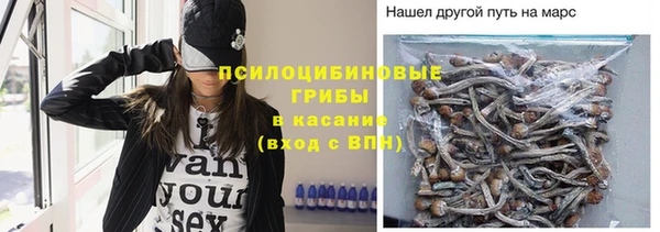 амф Алексеевка
