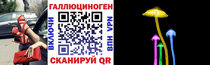 Псилоцибиновые грибы GOLDEN TEACHER  цена наркотик  Бабаево 